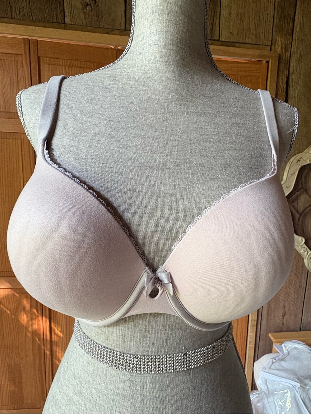 Victoria’s Secret Body by Victoria Light Pink Padded T-Shirt Bra 38D